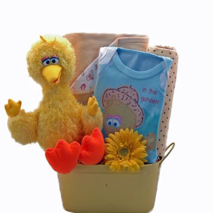 Big Bird In The Garden